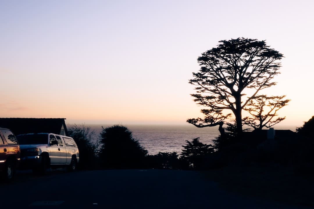 宋佳佟丽娅电影《轻于鸿毛》七夕定量点映 带上姐妹一同高兴动身